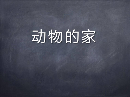 《动物的家》和动物交朋友 PPT实用课件3