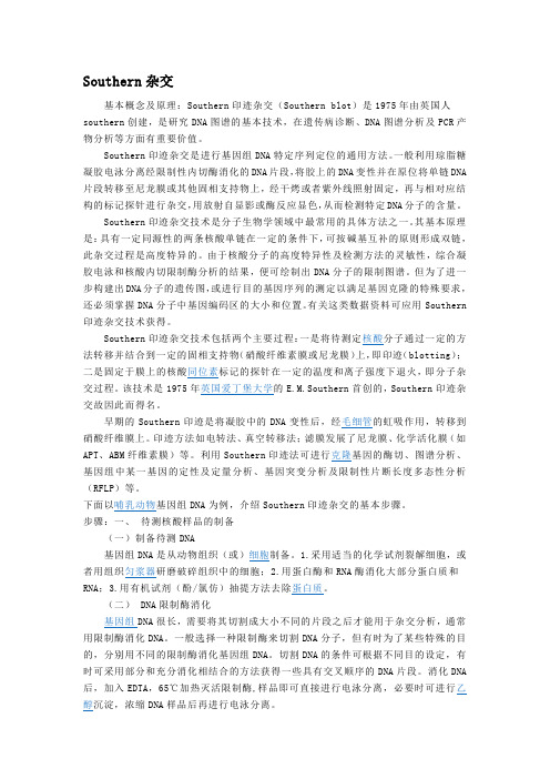 四种分子杂交的原理及方法