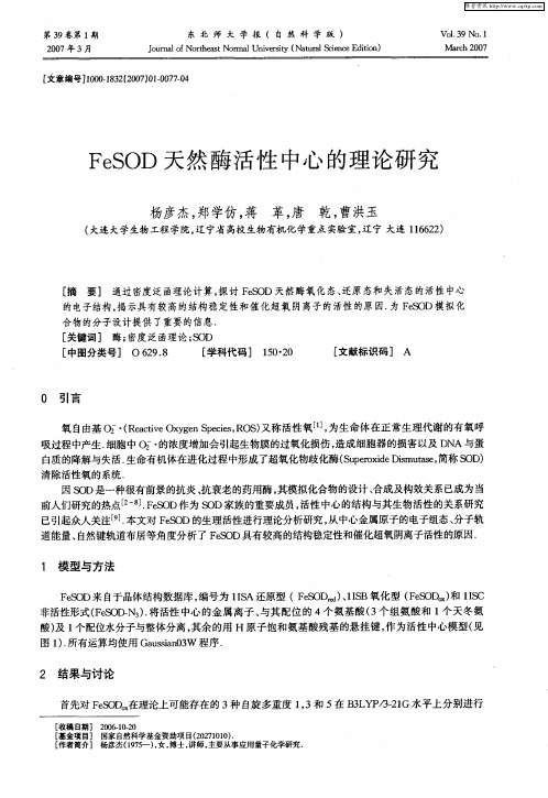 FeSOD天然酶活性中心的理论研究