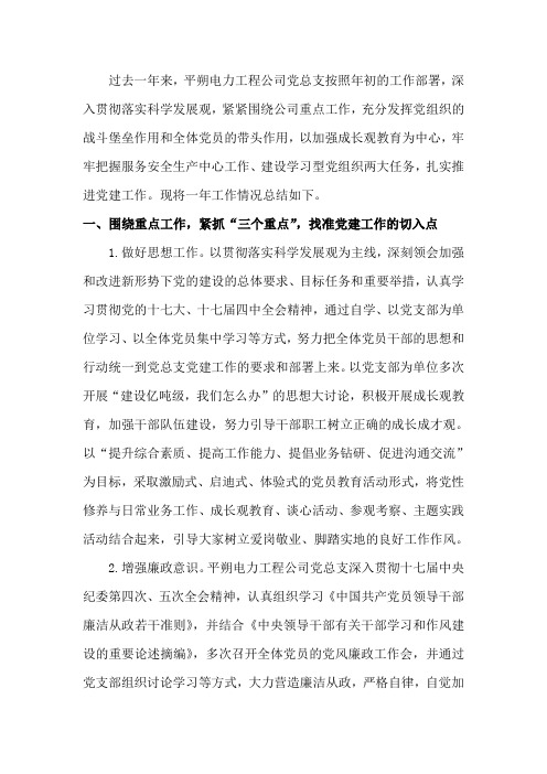 2010xxxx党总支总结