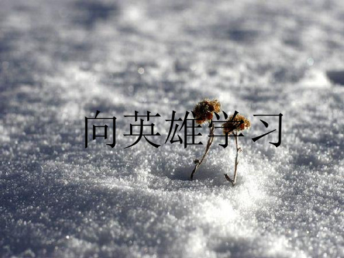 向英雄学习Microsoft PowerPoint 演示文稿