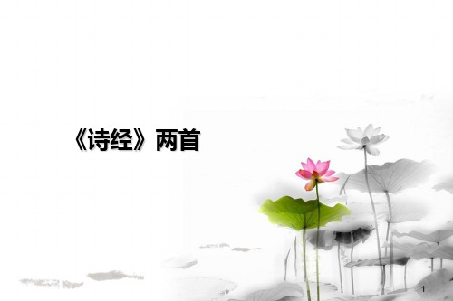 粤教版必修1《诗经》两首课件(共37张)