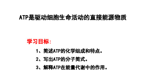 3.1ATP是驱动细胞生命活动的直接能源物质 课件-苏教版(2020)高中生物必修1