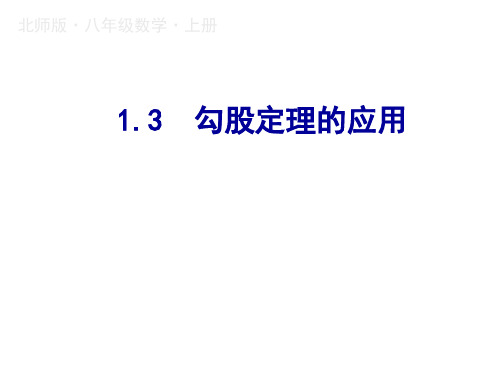 秋八年级数学北师大版上册课件：1.3勾股定理的应用 (共17张PPT)