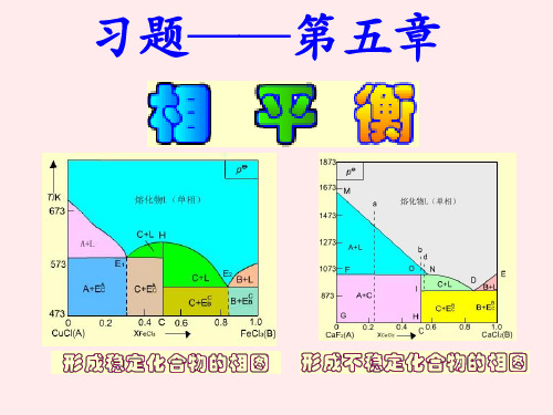 物化第五版 第五章 习题