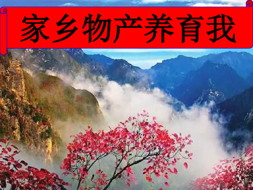 人教部编版 二年级上册道德与法治14家乡物产养育我课件