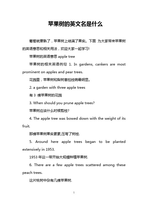 苹果树的英文名是什么