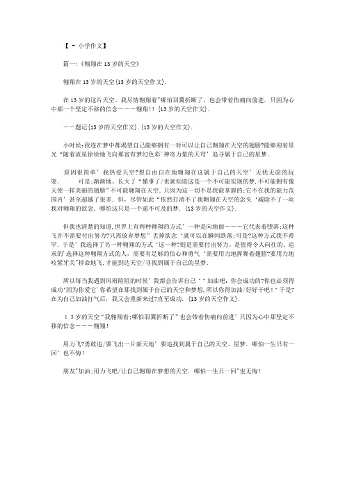 13岁的天空作文