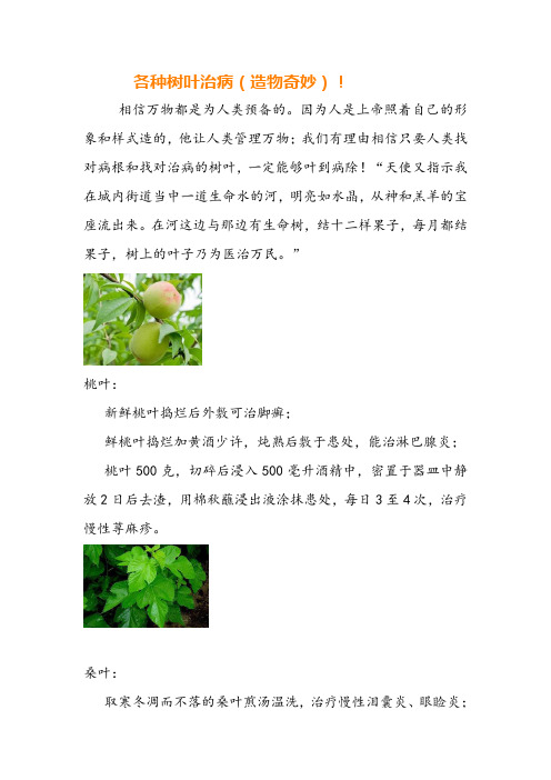 各种树叶治病