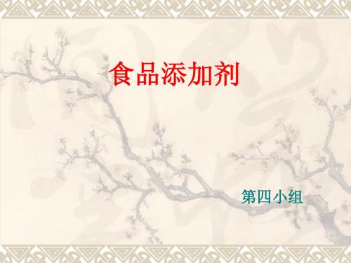 第四小组课件Microsoft PowerPoint 演示文稿