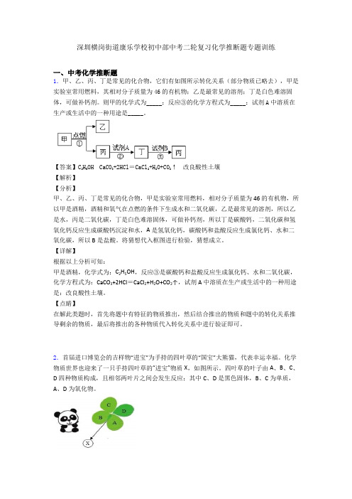 深圳横岗街道康乐学校初中部中考二轮复习化学推断题专题训练