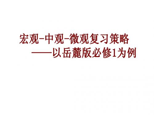第4讲 宏观——中观——微观复习策略