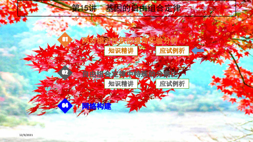 高考生物一轮复习第15讲基因的自由组合定律课件高三全册生物课件