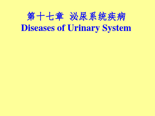 病理学肾小球肾炎与肾盂肾炎ppt课件