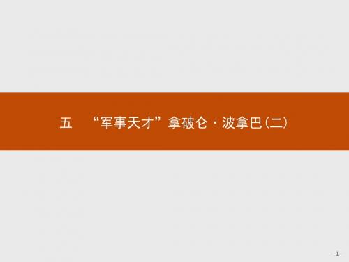 【人民版】历史选修四：3.5《“军事天才”拿破仑·波拿巴(二)》ppt课件