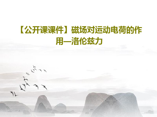 【公开课课件】磁场对运动电荷的作用—洛伦兹力共24页PPT