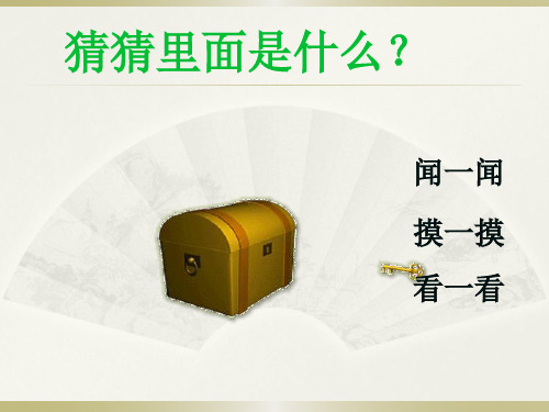 济南版七下生物 5.4人体对周围世界的感知 课件  (共24张PPT)