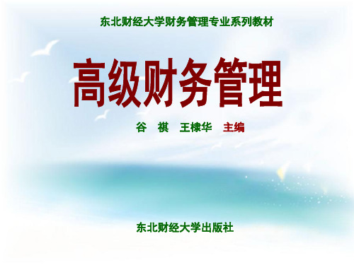 《高级财务管理》PPT课件