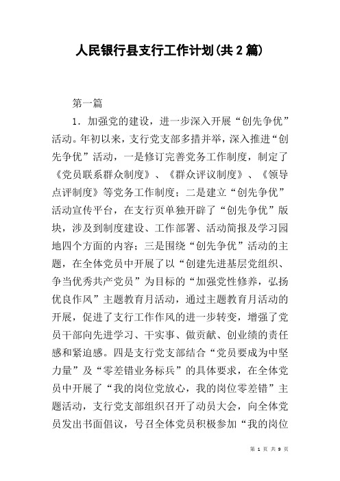 人民银行县支行工作计划(共2篇)