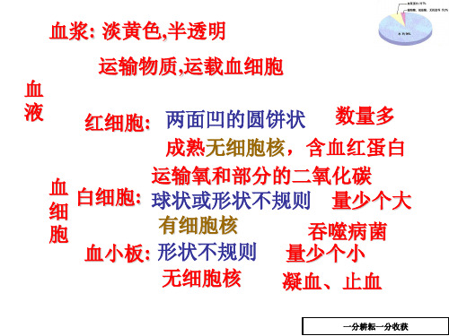 血管课件(七年级生物)AKlqnA