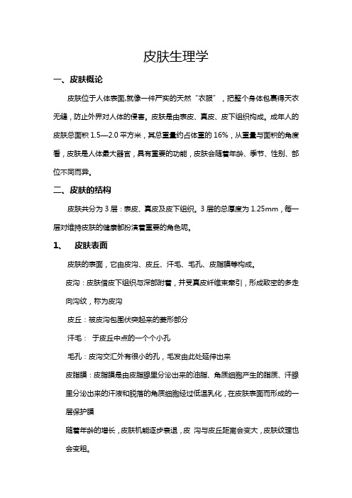 皮肤生理学
