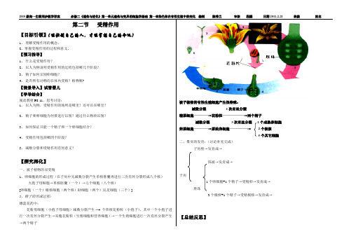 中图版高中生物必修二《遗传与进化》第二节受精作用