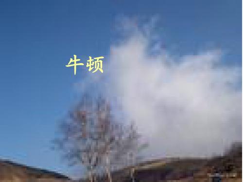 第一学期19、牛顿在暴风雨中