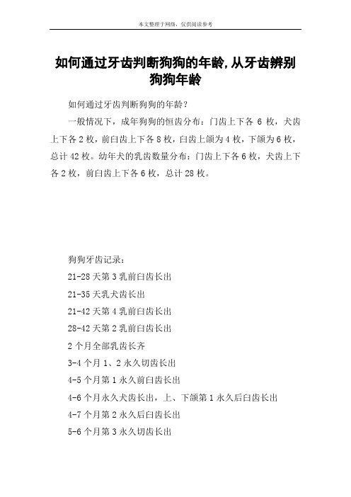 如何通过牙齿判断狗狗的年龄,从牙齿辨别狗狗年龄