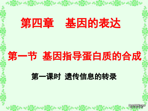 生物必修二第四章