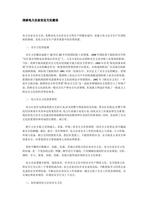 浅谈电力企业安全文化建设