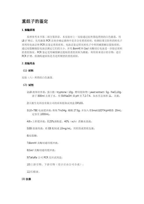 重组子的鉴定