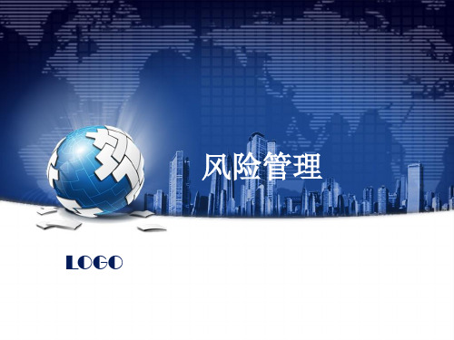 企业公司风险与风险管理