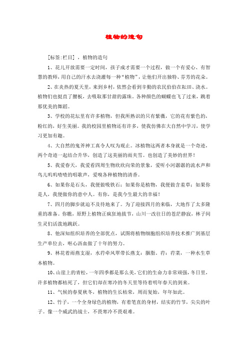 植物的造句