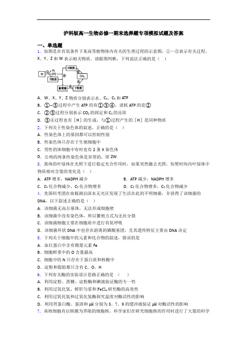 沪科版高一生物必修一期末选择题专项模拟试题及答案