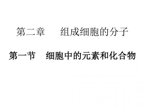 高一生物细胞中的元素和化合物