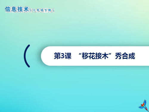 2020七年级信息技术下册第3课“移花接木”秀合成课件南方版