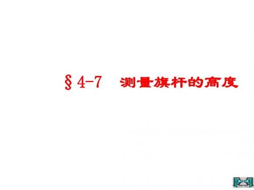 测量旗杆的高度
