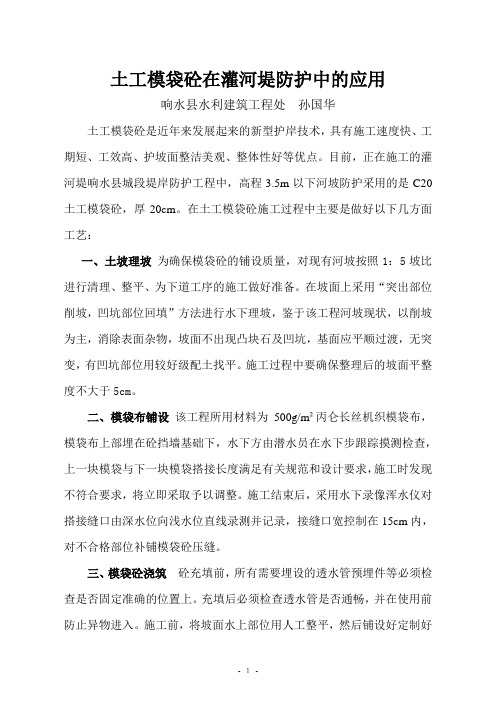 1模袋砼在河道防护中的运用