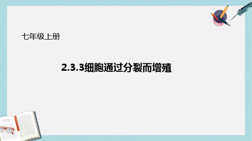 七年级生物上册2.3.3细胞通过分裂而增殖课件新版北师大版