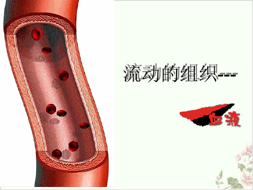 九年级上科学_体内物质的运输_pptppt浙教版4