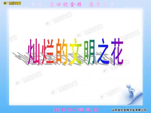灿烂的文明之花2013新版