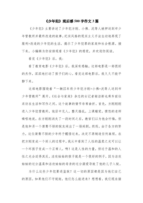 《少年犯》观后感500字作文3篇