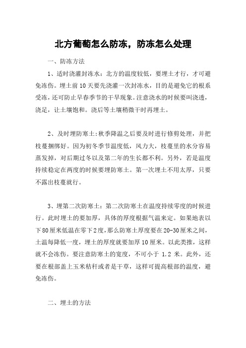 北方葡萄怎么防冻,防冻怎么处理