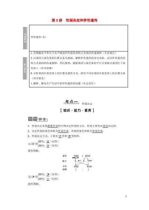高考生物一轮复习遗传定律和伴性遗传性别决定和伴性遗传学案必修