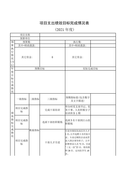 项目支出绩效目标完成情况表