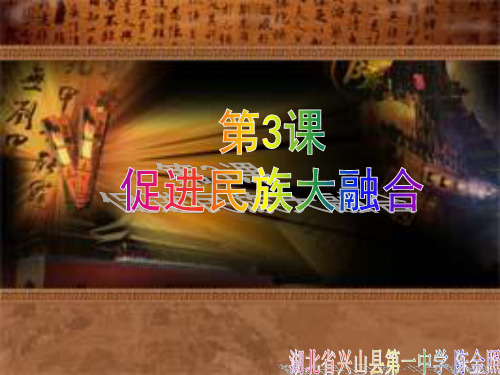历史：3.3《促进民族大融合》课件1(人教版选修1)