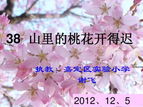 38.山里的桃花开得迟