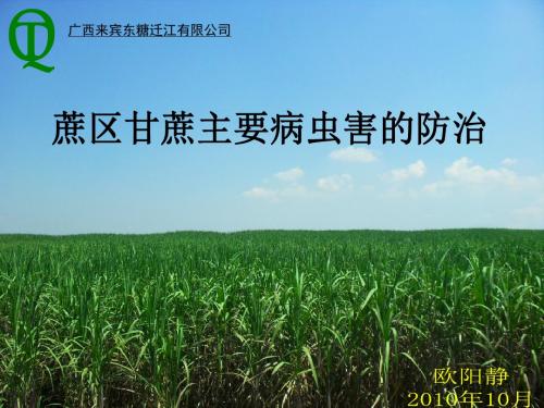 甘蔗主要病虫害的防治培训