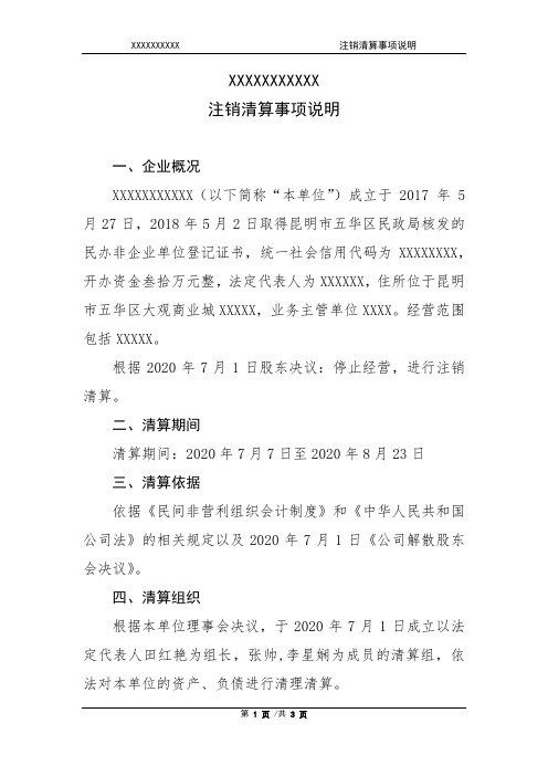 3.民非组织清算事项说明(模板)