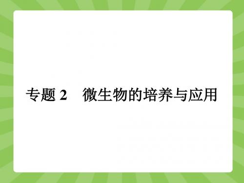生物人教版选修1课件：2.1 微生物的实验室培养